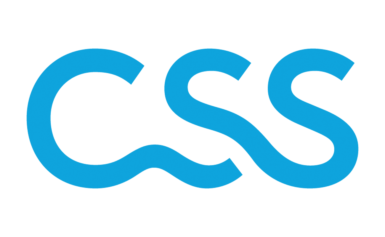 CSS